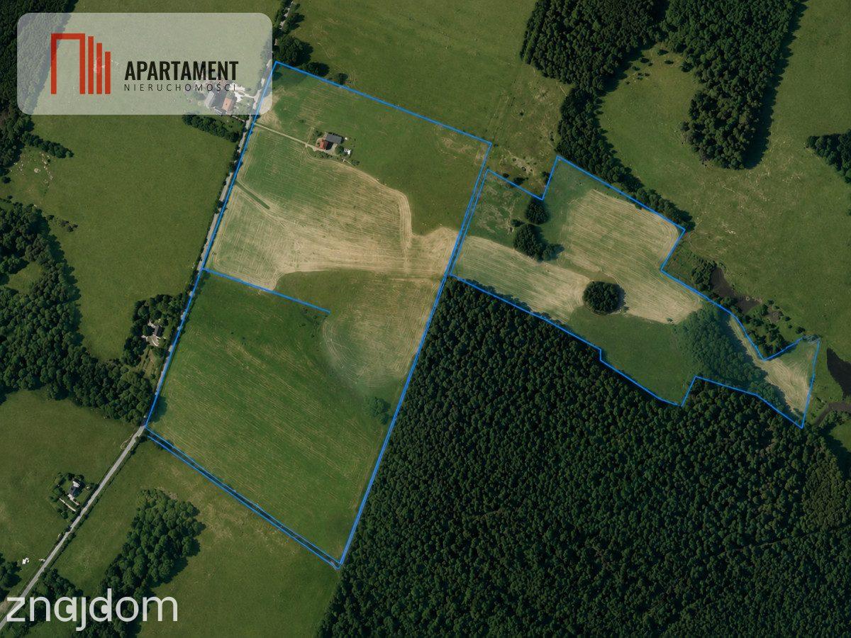 Siedlisko, gospodarstwo, gotowe do zamieszkania! - zdjęcie 12