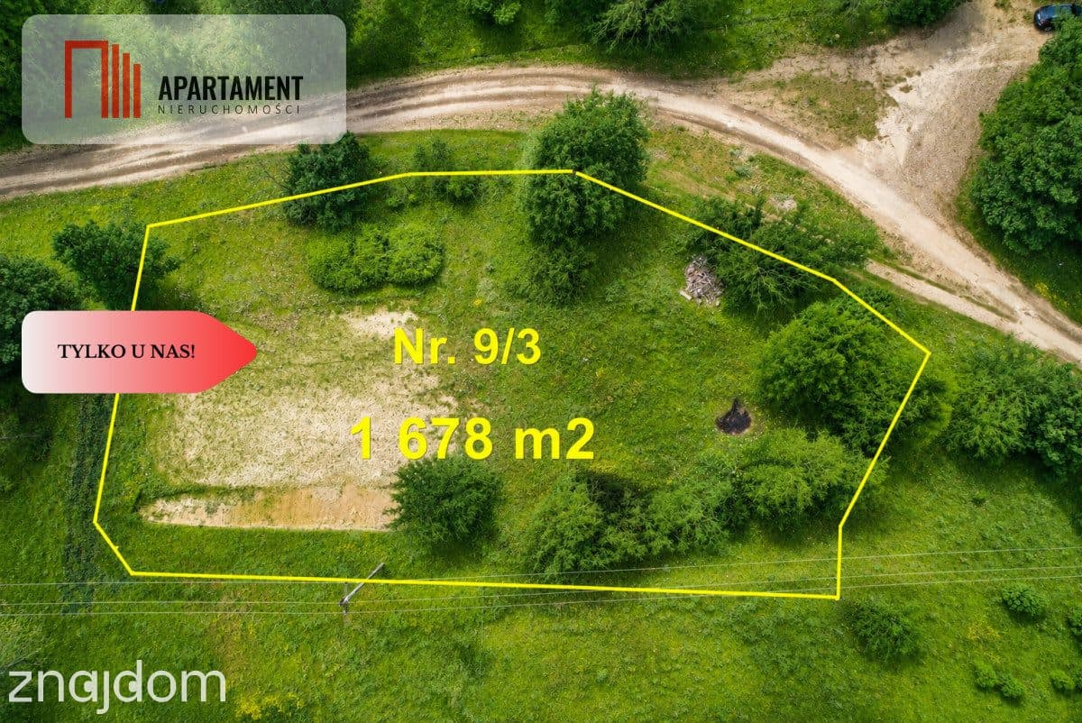 Duża działka nad jeziorem, warunki zabudowy. - zdjęcie 2
