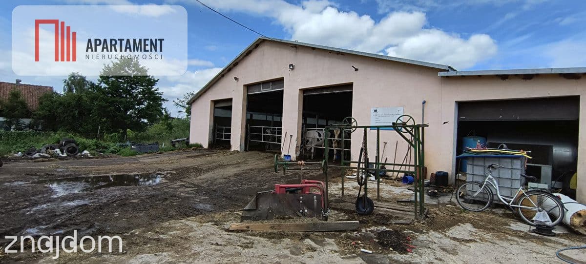 Gospodarstwo rolne z inwentarzem - 49 ha - zdjęcie 7