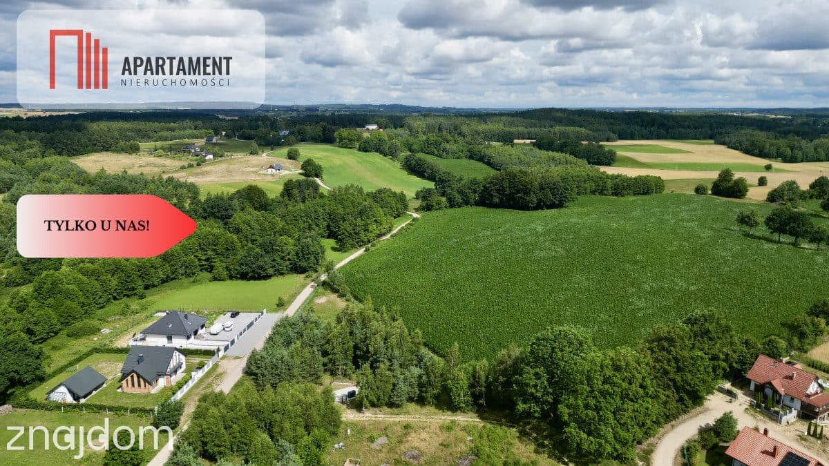 Tylko u nas! Działka-cisza, natura i potencjał! - zdjęcie 9