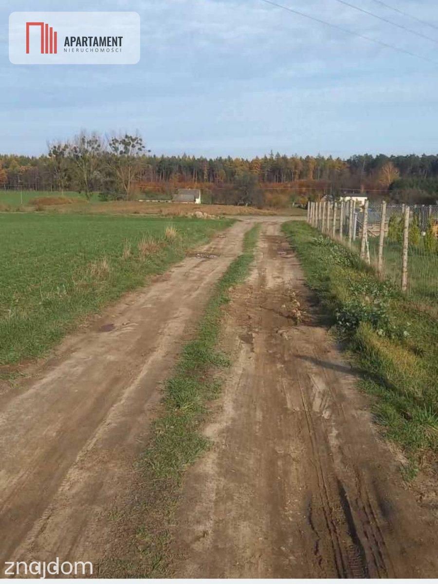 Działka budowlana w Ciche - zdjęcie 5