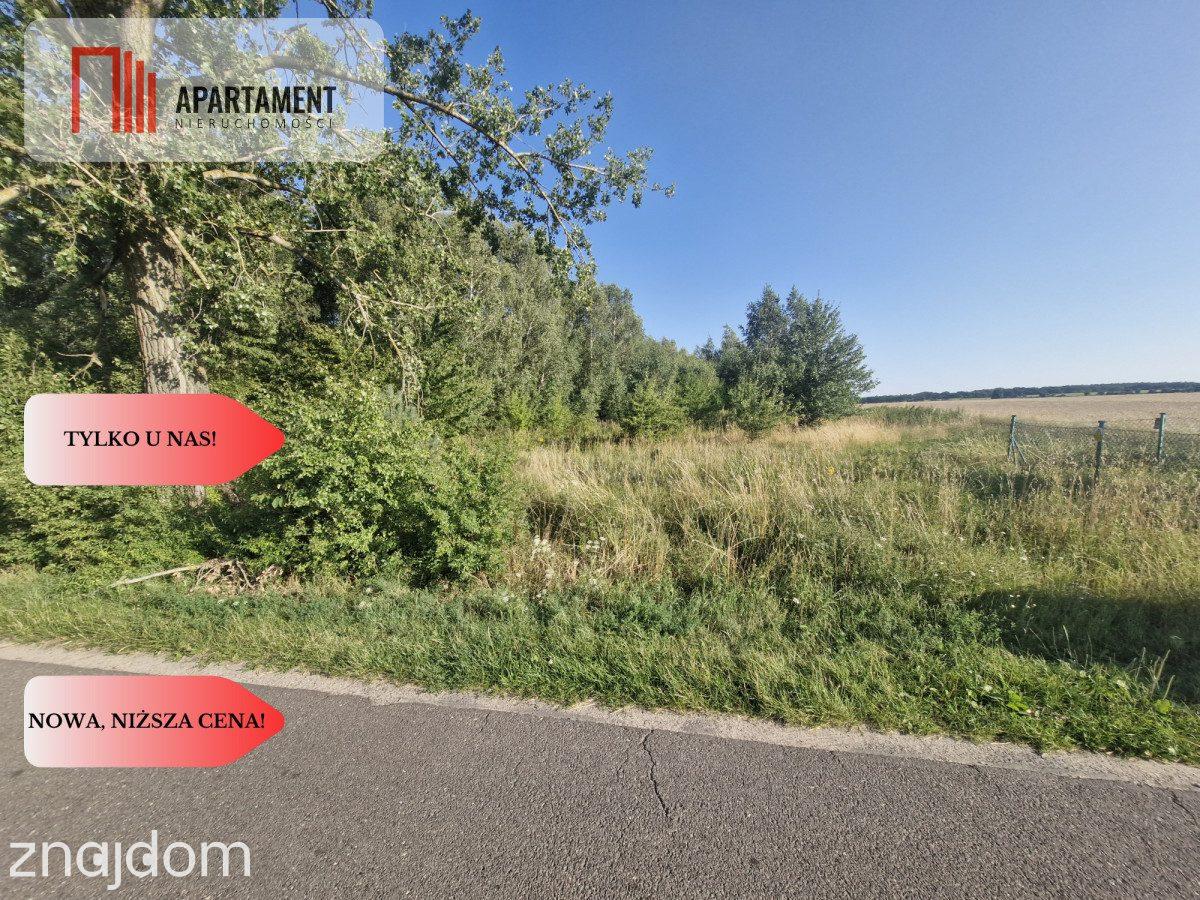 Działka z projektem Gorzuchowo, 300 m. do jeziora - zdjęcie 5