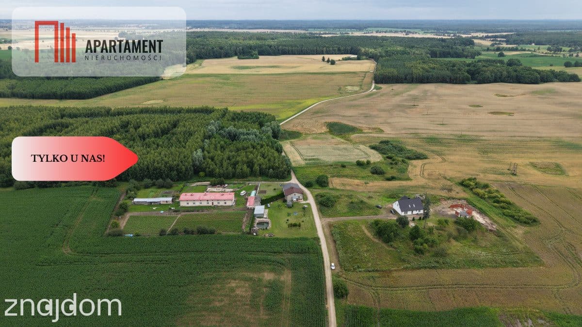 Słoneczny ogród w cichej okolicy- Ulnowo dom - zdjęcie 17