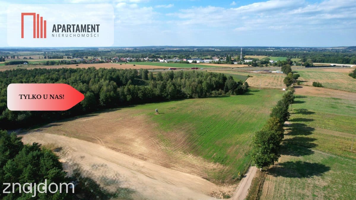 *Działki 830- 3132m2  Kowalewo Szubin ŚCIANA LASU - zdjęcie 15