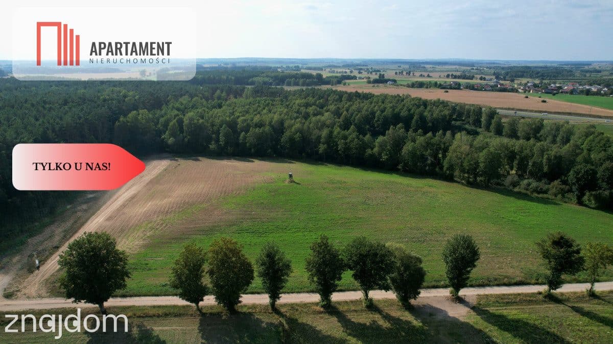 *Działki 830- 3132m2  Kowalewo Szubin ŚCIANA LASU - zdjęcie 6