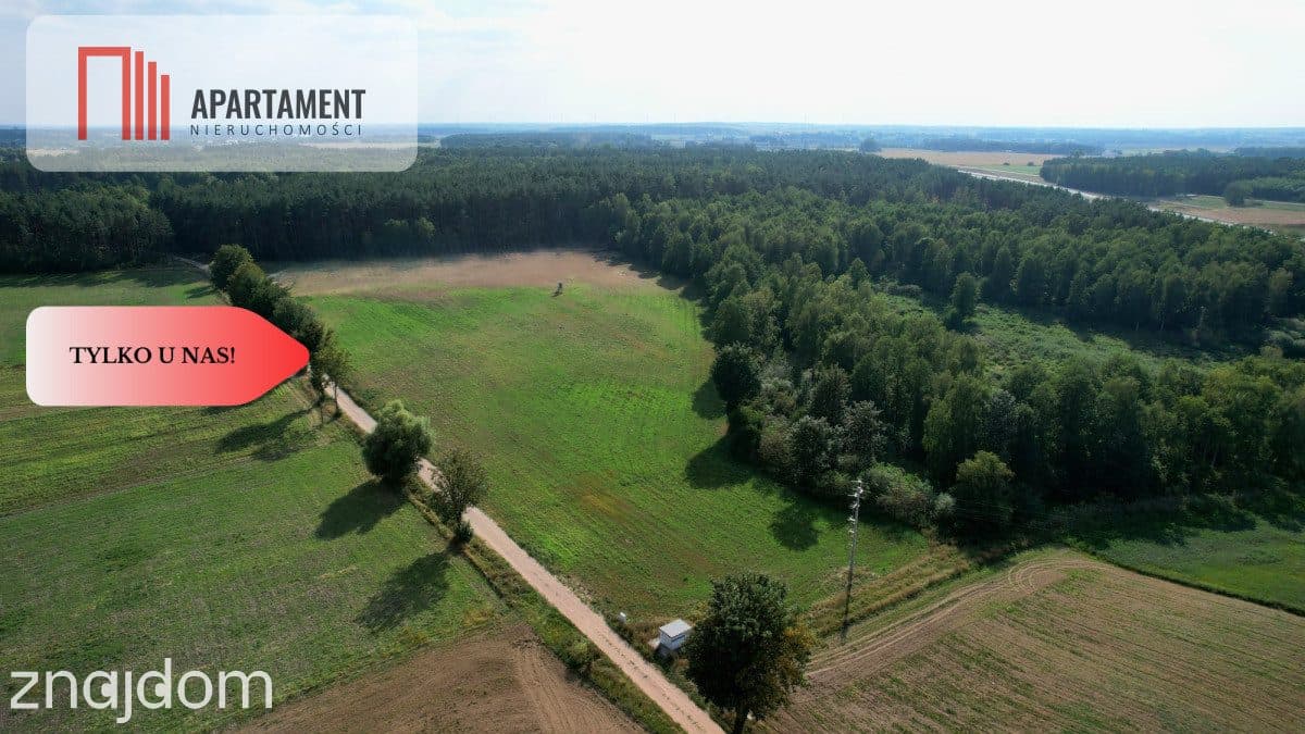 *Działki 830- 3132m2  Kowalewo Szubin ŚCIANA LASU - zdjęcie 8
