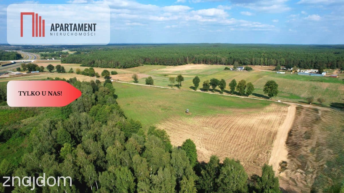 *Działki 830- 3132m2  Kowalewo Szubin ŚCIANA LASU - zdjęcie 9