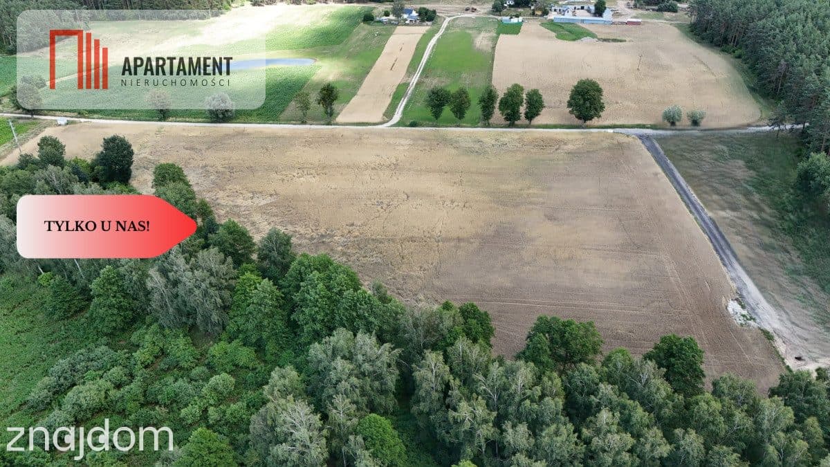 *Działki 830- 3132m2  Kowalewo Szubin ŚCIANA LASU - zdjęcie 13