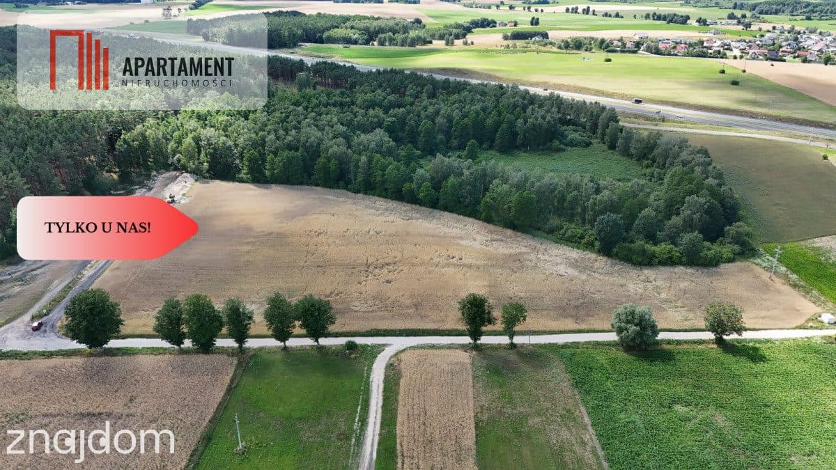 *Działki 830- 3132m2  Kowalewo Szubin ŚCIANA LASU - zdjęcie 3