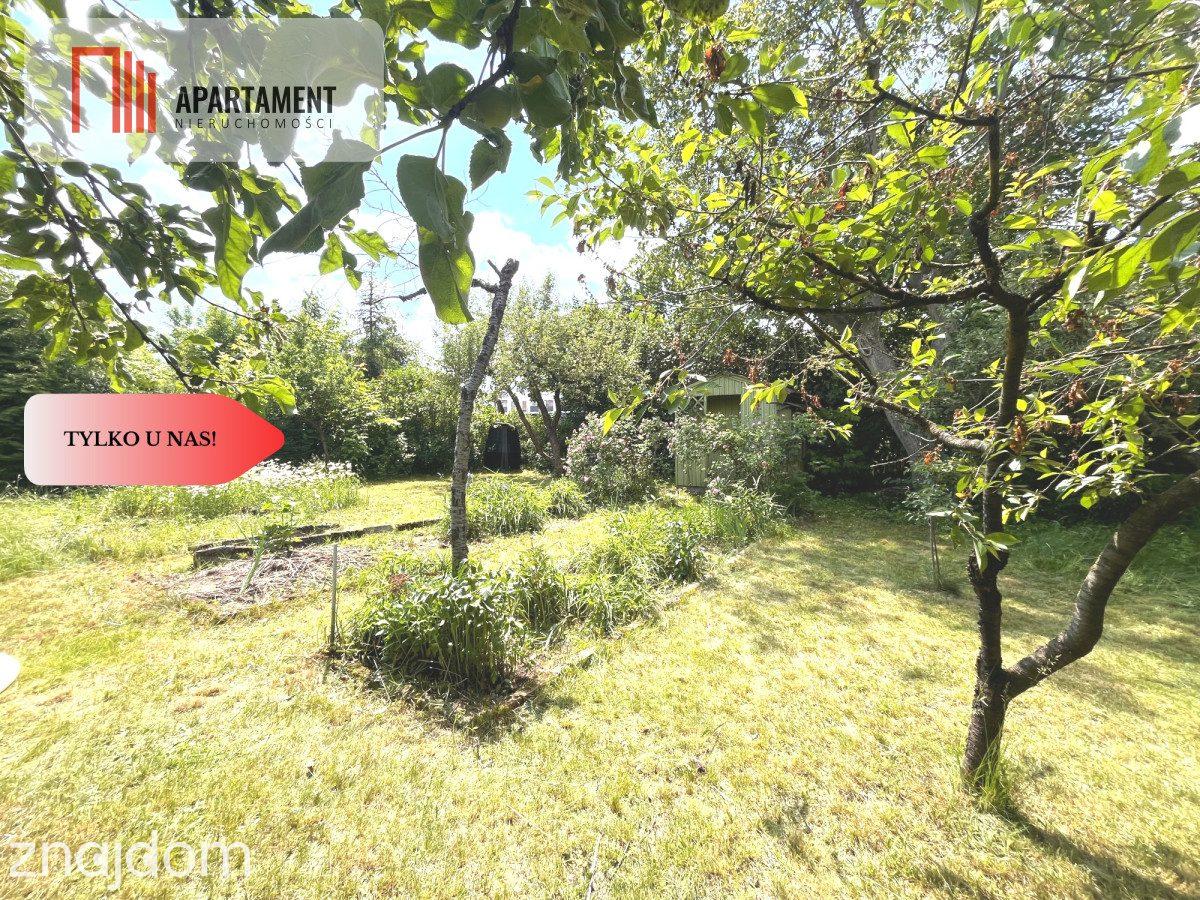 Działka ROD 320 m² – Górzyskowo, ROD Odzieżowiec - zdjęcie 11