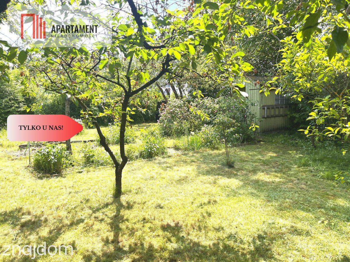 Działka ROD 320 m² – Górzyskowo, ROD Odzieżowiec - zdjęcie 10