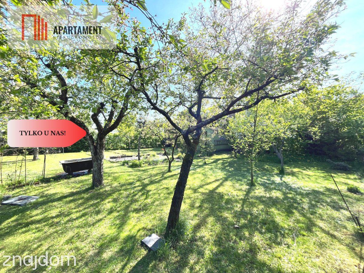 Działka ROD 320 m² – Górzyskowo, ROD Odzieżowiec - zdjęcie 7