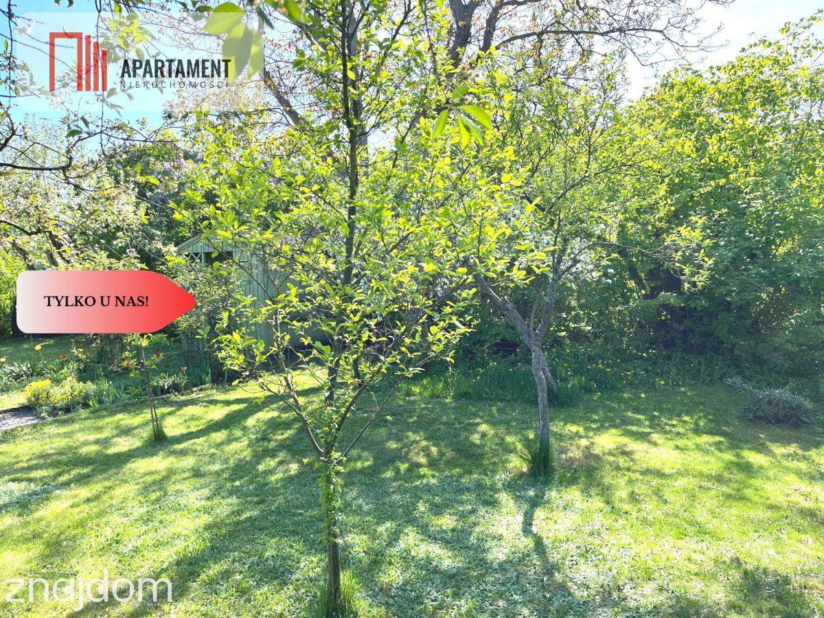 Działka ROD 320 m² – Górzyskowo, ROD Odzieżowiec - zdjęcie 9