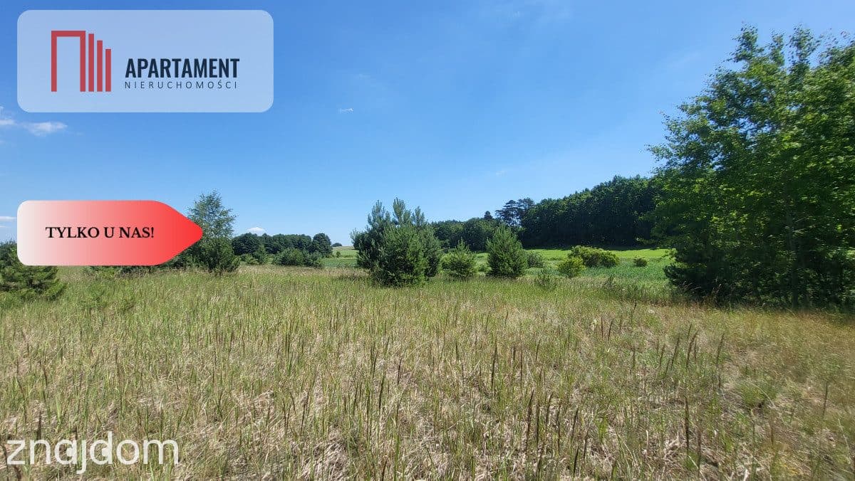 Działki z WZ - świetna lokalizacja natura, jezioro - zdjęcie 6