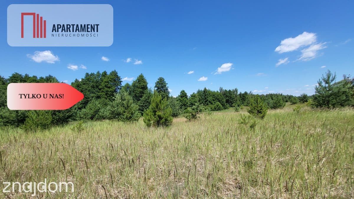 Działki z WZ - świetna lokalizacja natura, jezioro