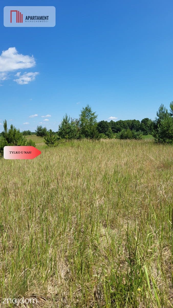 Działki z WZ - świetna lokalizacja natura, jezioro - zdjęcie 7