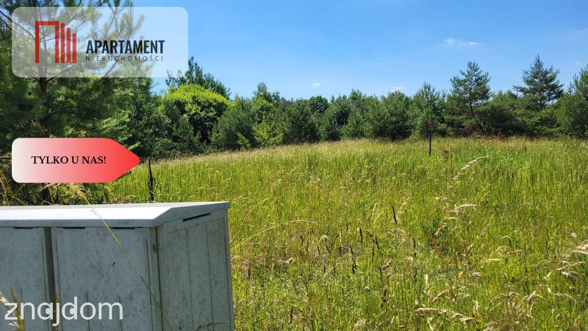 Działki z WZ - świetna lokalizacja natura, jezioro - zdjęcie 8
