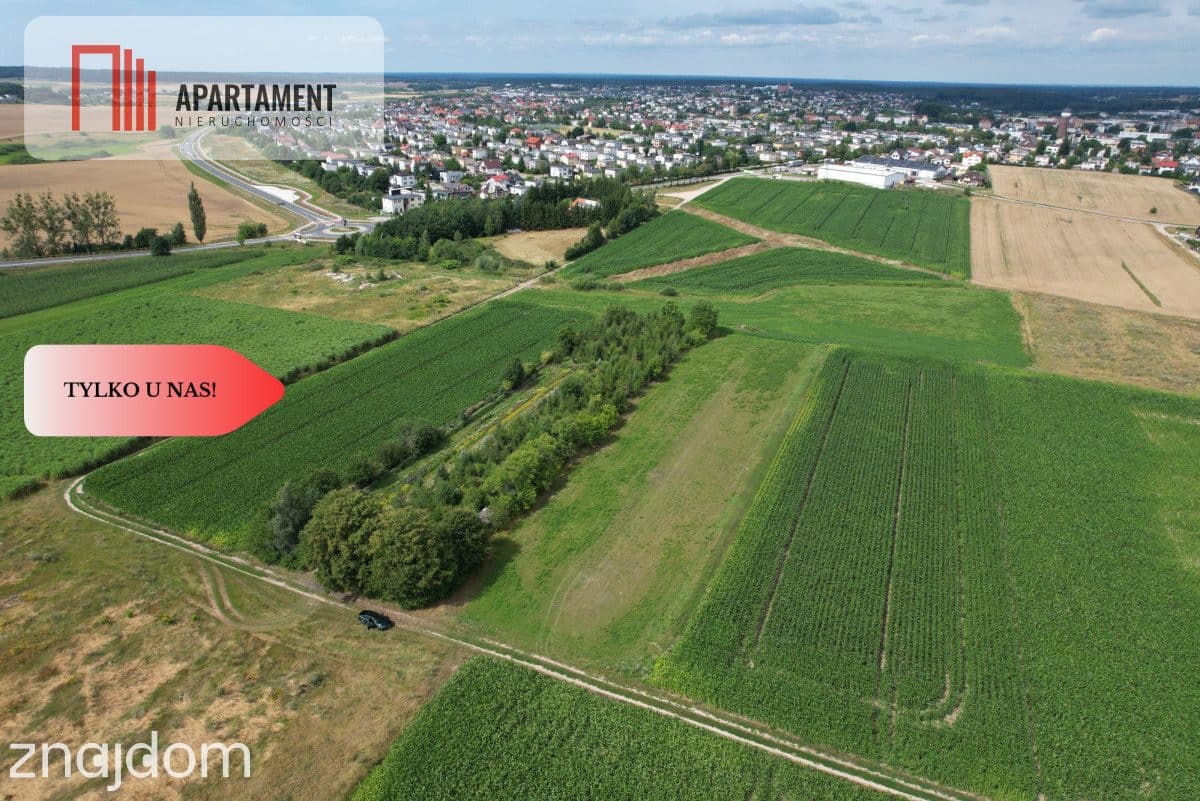 Ostatnia działka budowlana z 4 dostępnych. - zdjęcie 4