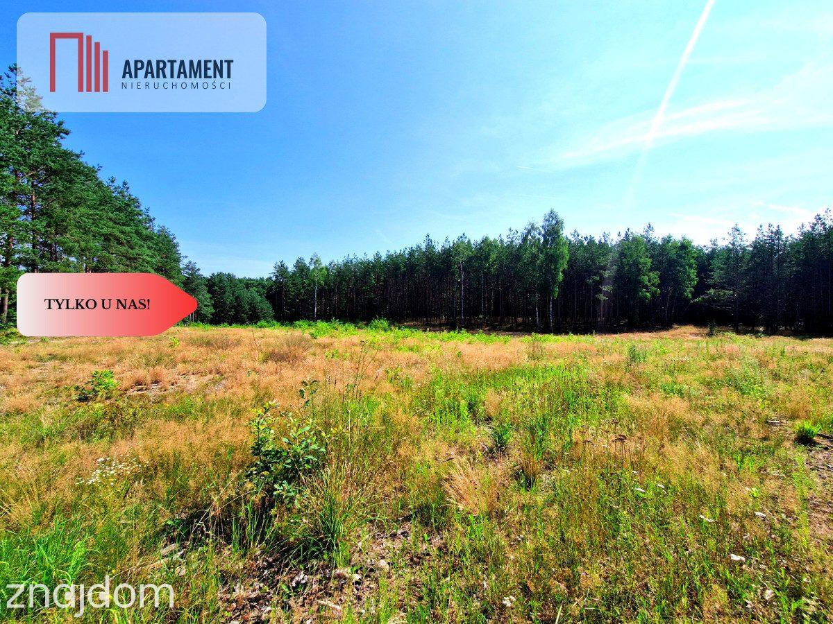 Zamieszkaj nad rzeką – wyjątkowe działki budowlane - zdjęcie 6