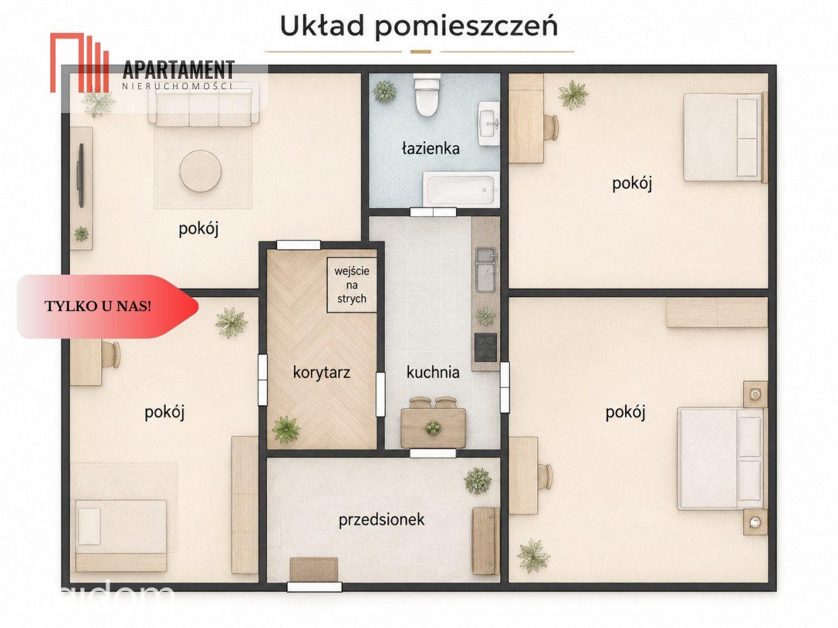 Dom z łąką 2,74ha - zdjęcie 12