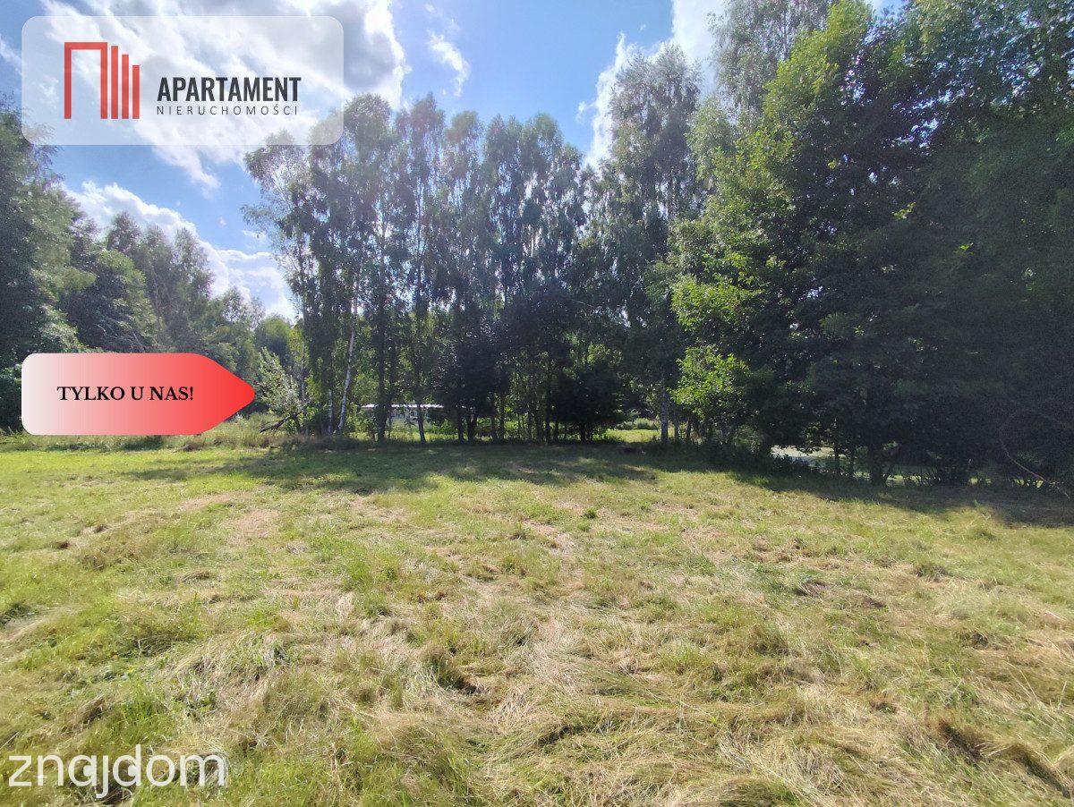 Działka ze stawem, linią brzegową rzeki oraz WZ. - zdjęcie 18