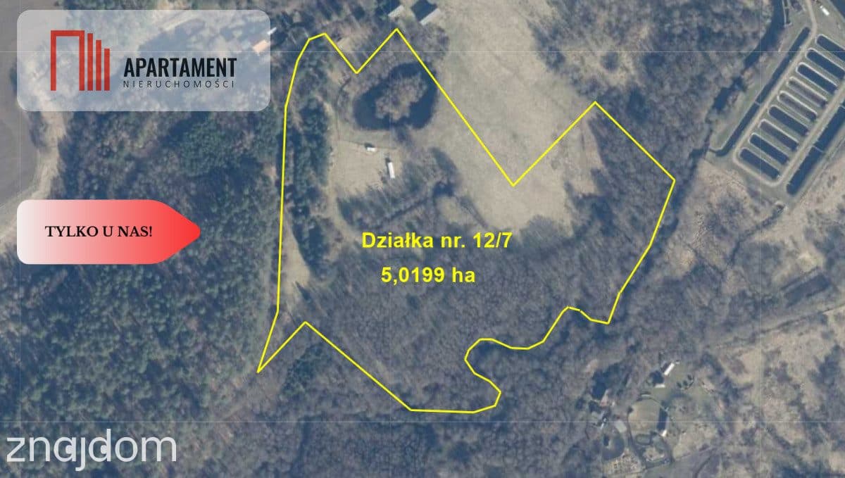Działka ze stawem, linią brzegową rzeki oraz WZ. - zdjęcie 3