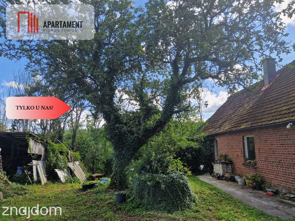 Dom w pięknej okolicy Drawskiego Parku Narodowego - zdjęcie 17