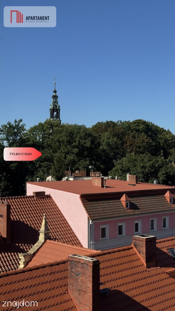 Mieszkanie 2- pokojowe 45 m2 - świetna lokalizacja - zdjęcie 9