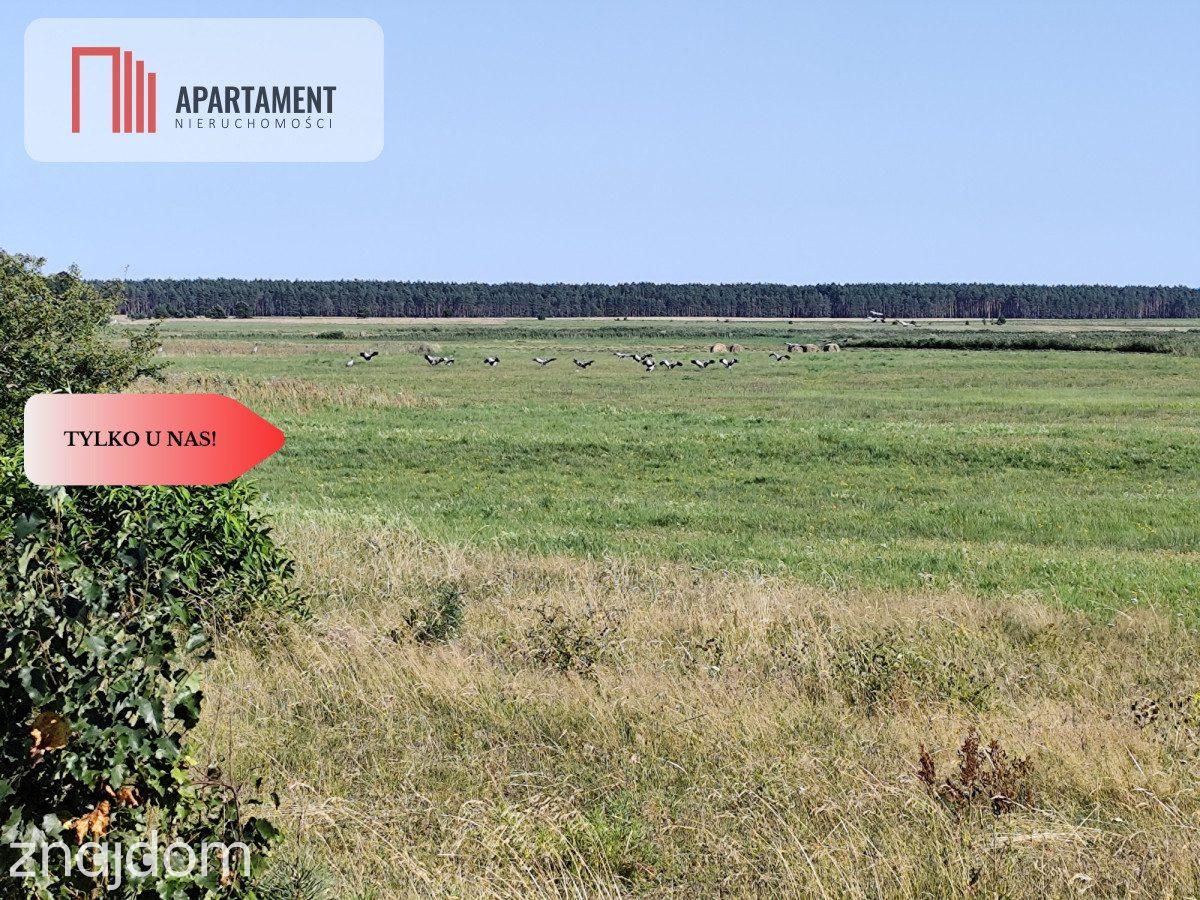 Tylko u Nas! Działka rolna o pow. 3,35 ha. - zdjęcie 4