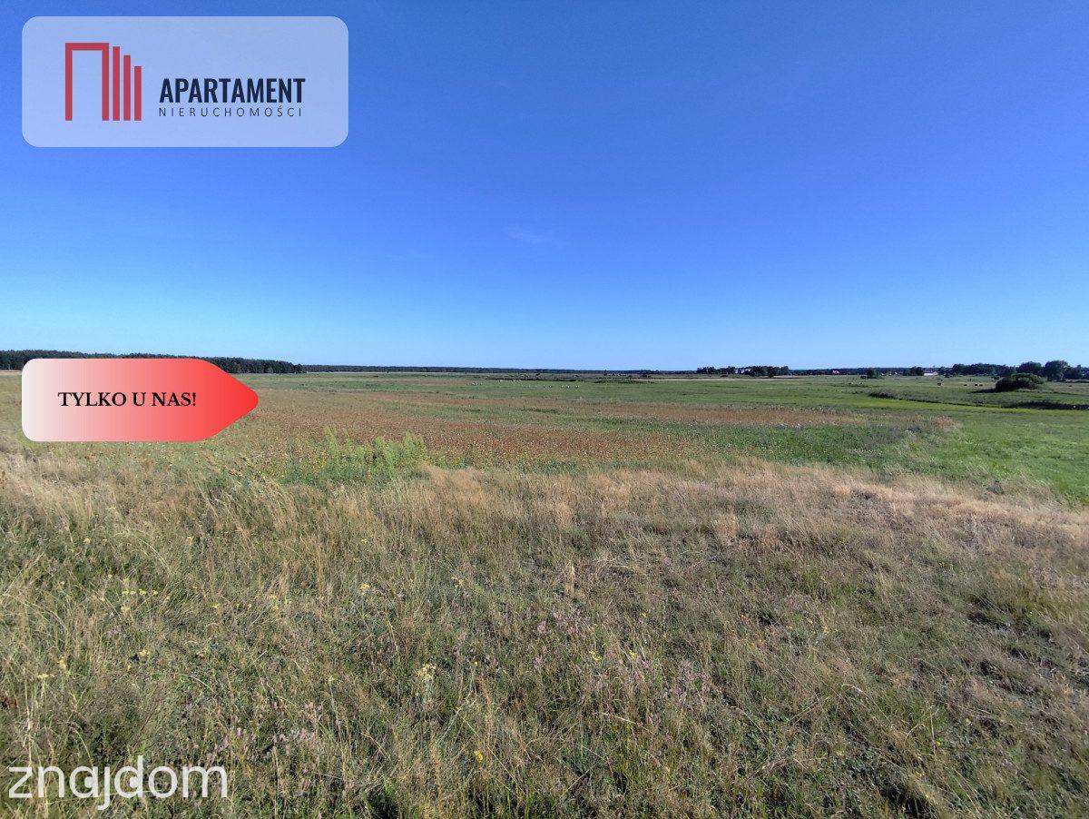 Tylko u Nas! Działka rolna o pow. 3,35 ha. - zdjęcie 6