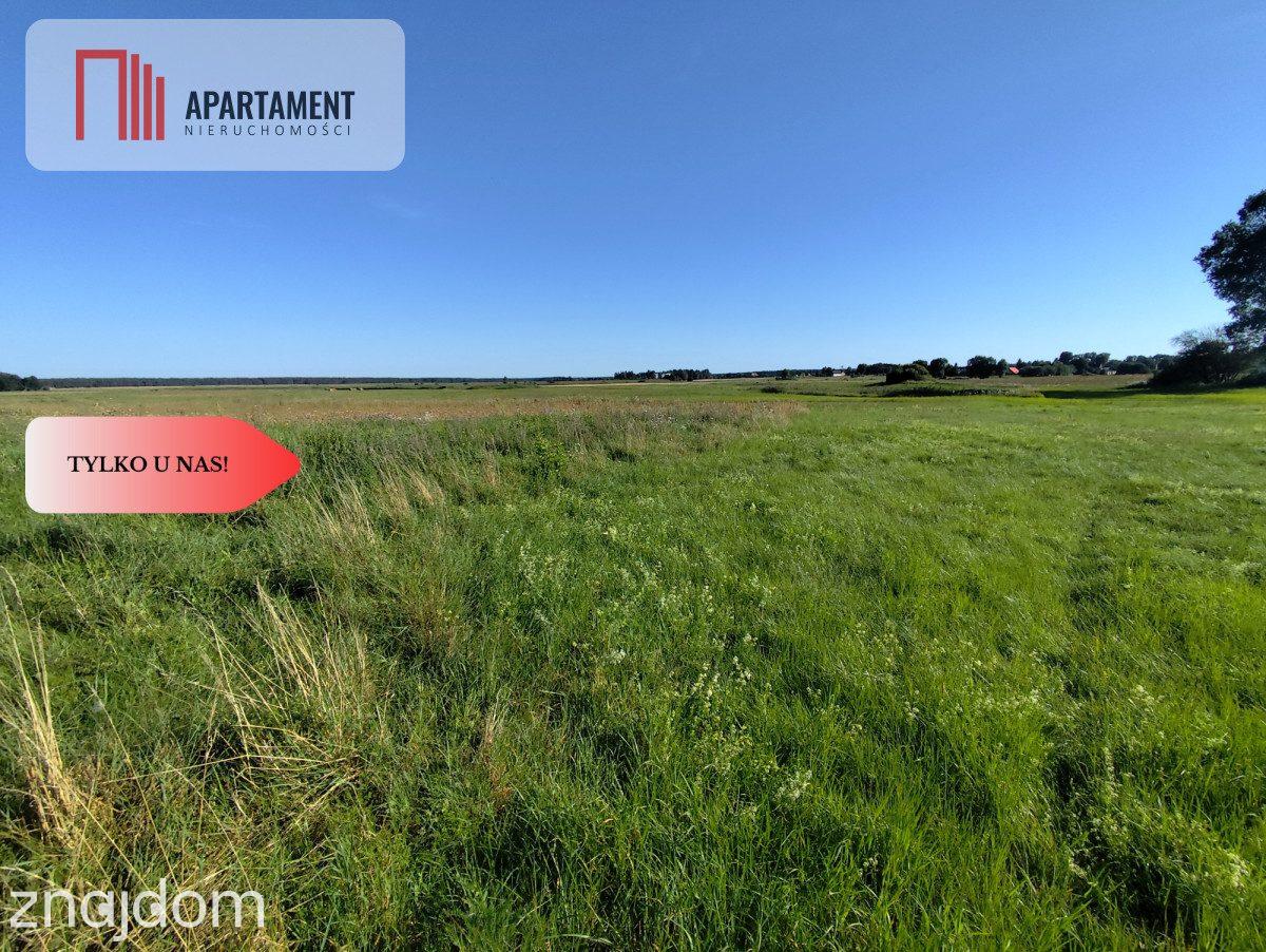 Tylko u Nas! Działka rolna o pow. 3,35 ha. - zdjęcie 8