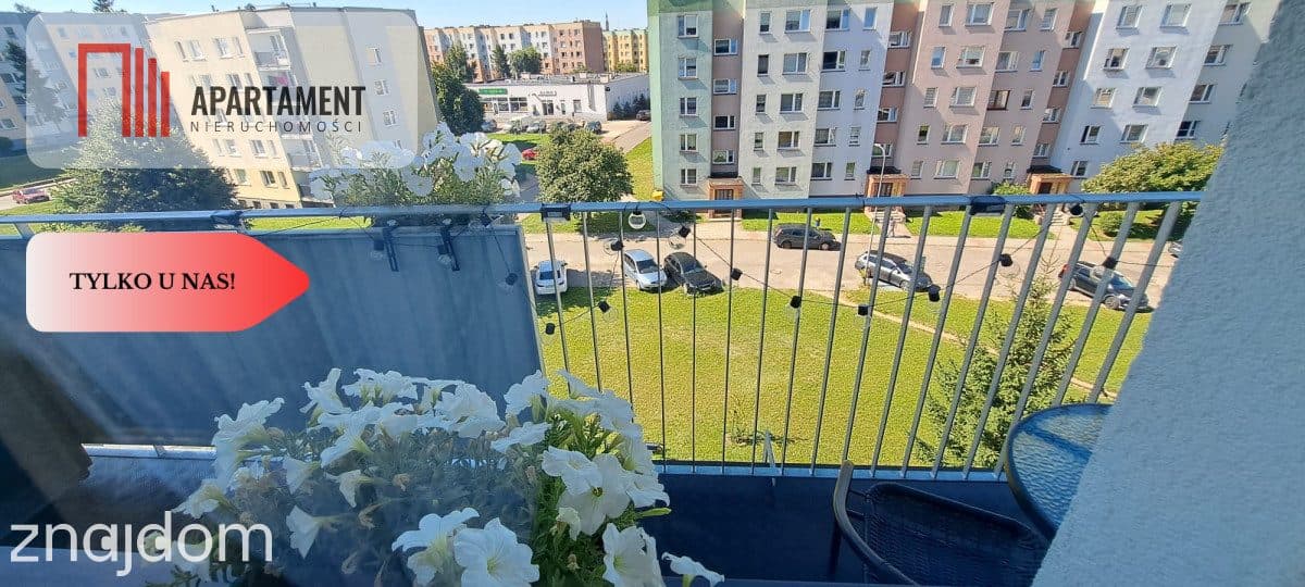 Tylko u nas! duże, słoneczne mieszkanie - zdjęcie 17