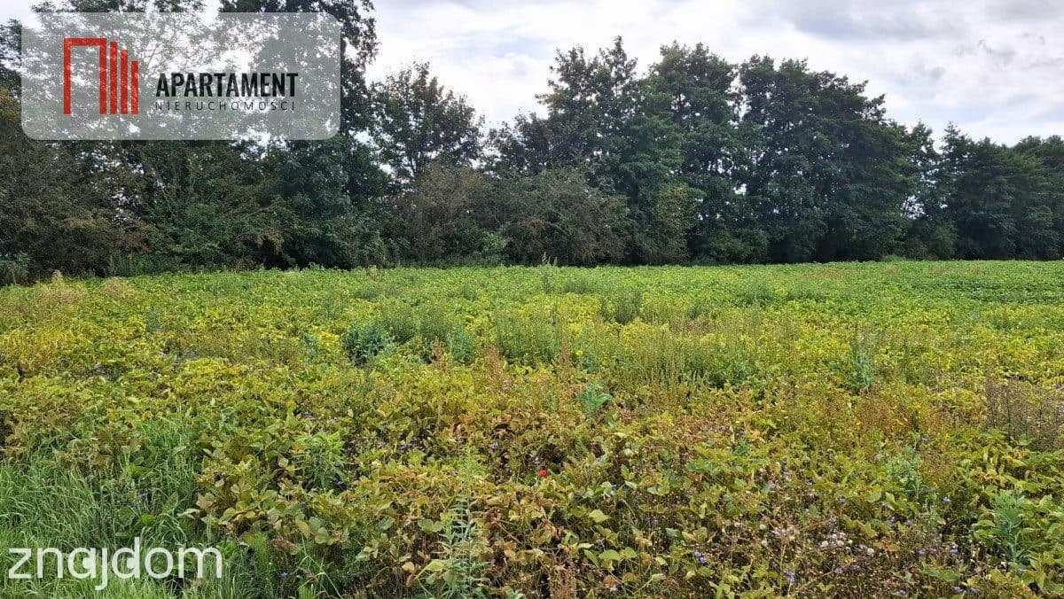 Działki Żołędowo – 1161 m² I 1470 m² - zdjęcie 2
