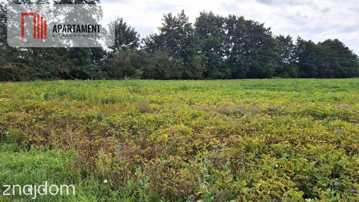 Działki Żołędowo – 1161 m² I 1470 m² - zdjęcie 3