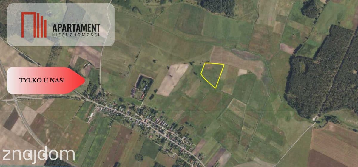 Tylko u Nas! Działka rolna o pow. 3,35 ha. - zdjęcie 3