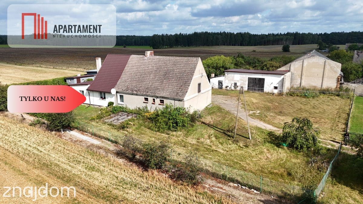 Dom na wsi wśród pól i lasów - zdjęcie 3