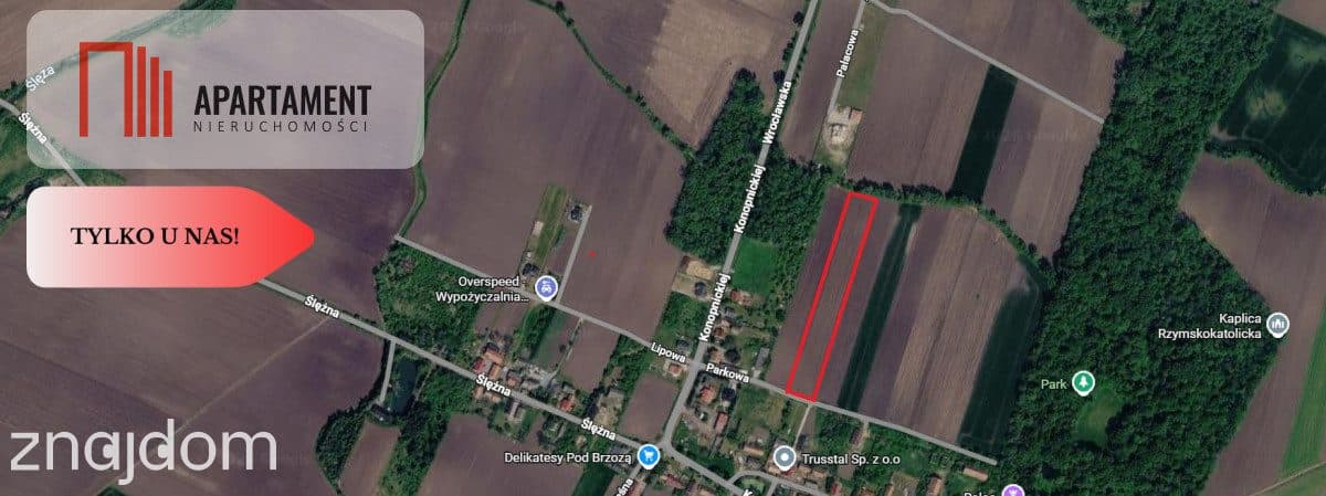 Działka inwestycyjna pod Wrocławiem | Bogunów - zdjęcie 3