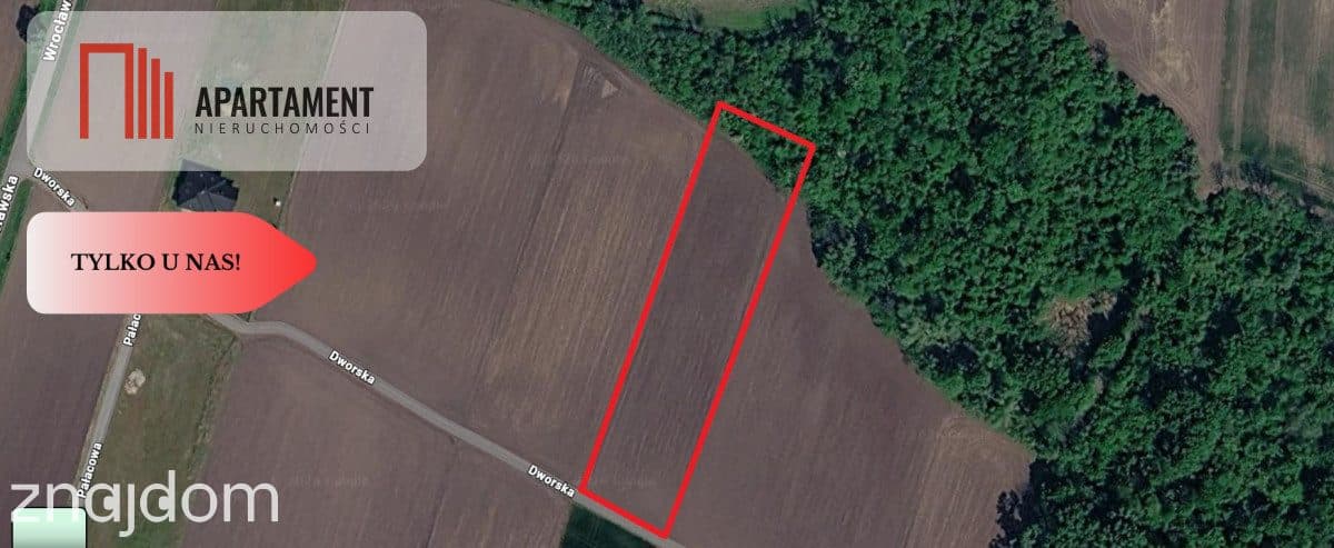 Działka rolna 89 arów pod Wrocławiem | Bogunów | - zdjęcie 3