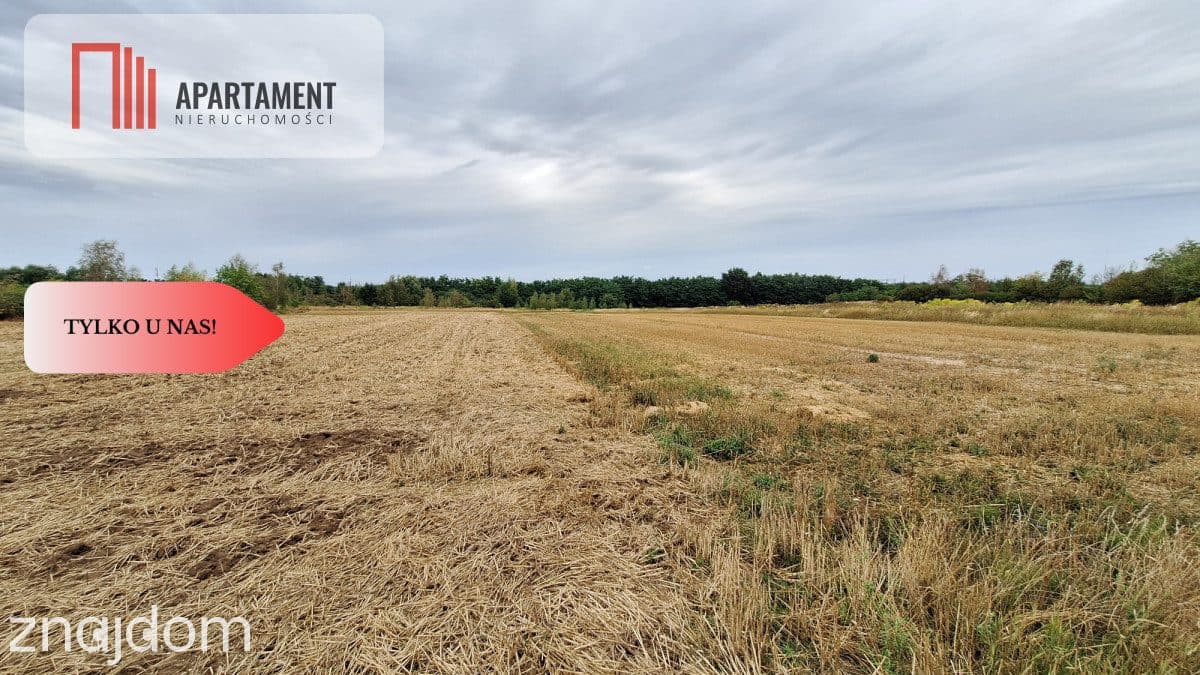 Duża działka 3691 m2 Legnica - zdjęcie 5