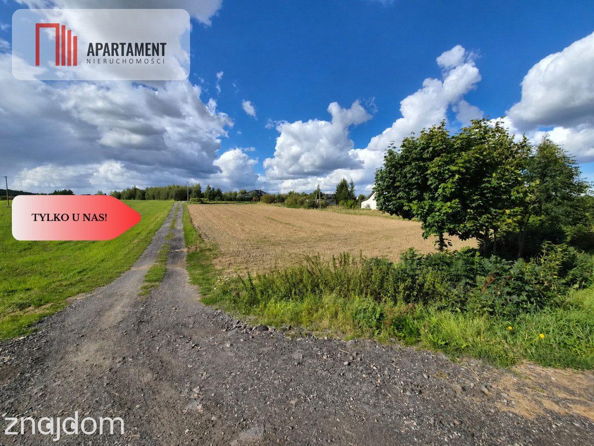 Działka budowlana, Więzowno, gmina Koronowo! - zdjęcie 7