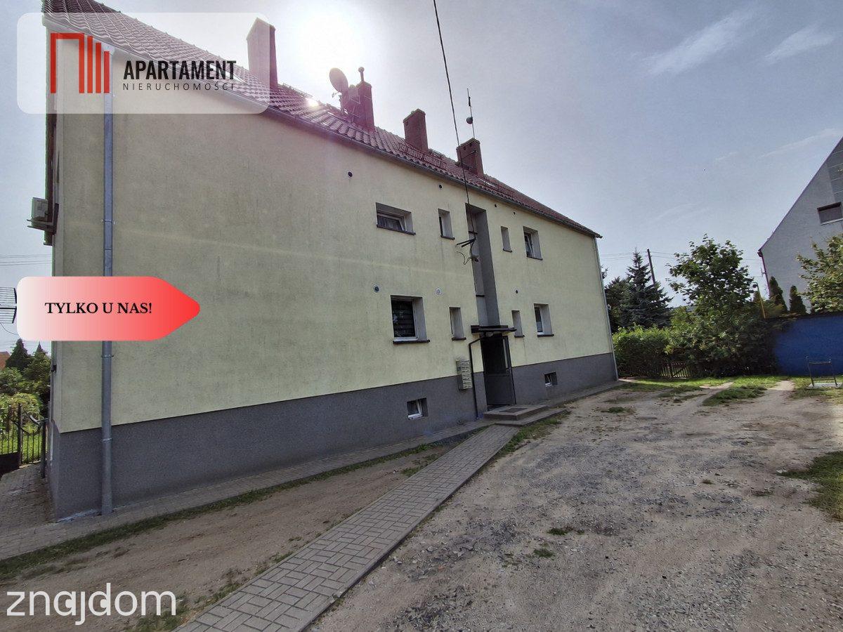 Mieszkanie 2-pokojowe z ogródkiem i dużą piwnicą - zdjęcie 17