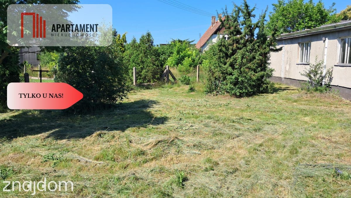 Tylko u nas! Dom do remontu w Występie k/ Nakła - zdjęcie 5