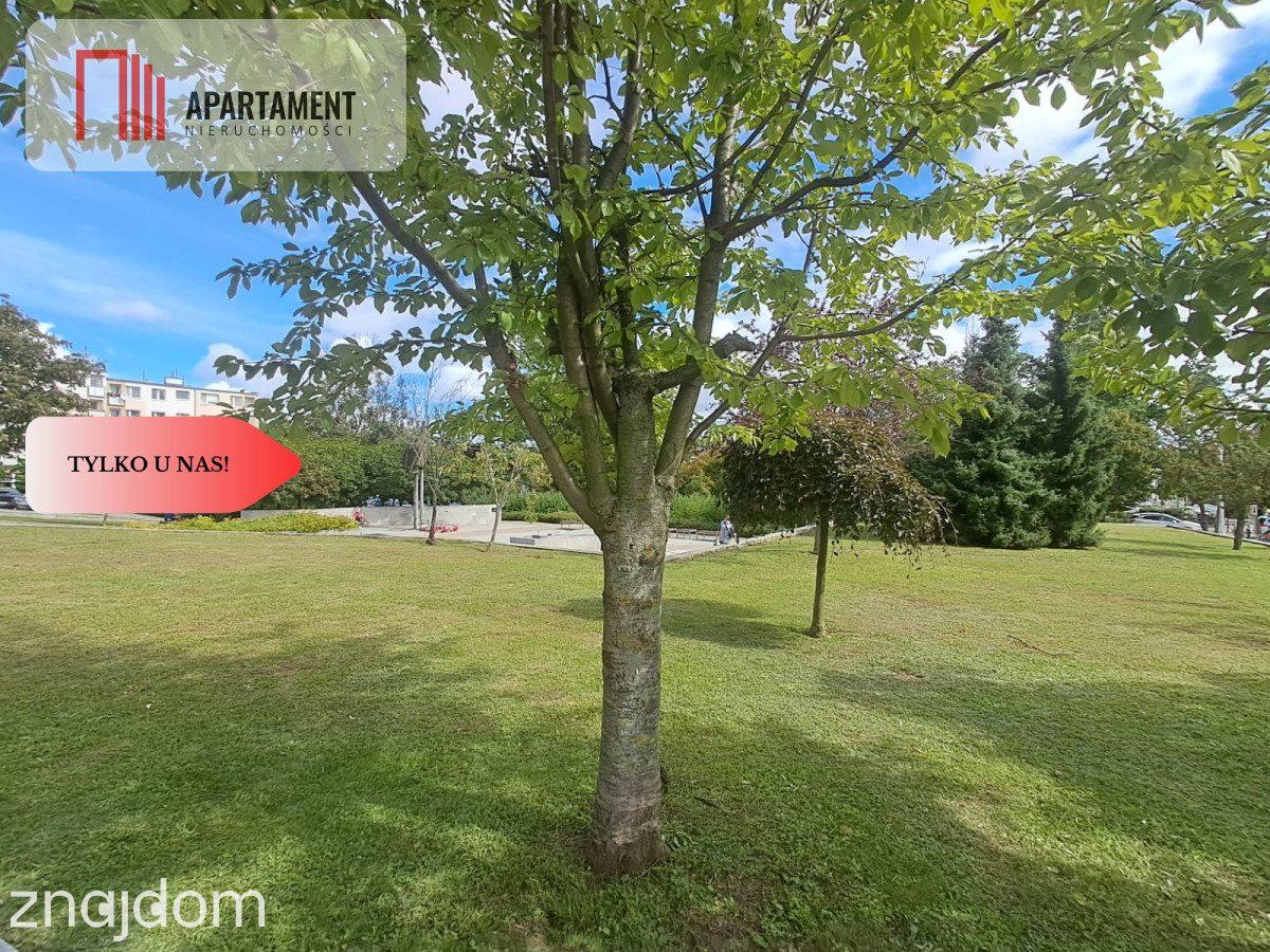 REZERWACJA Pruszcz |35m2| Niskie opłaty | Balkon - zdjęcie 14