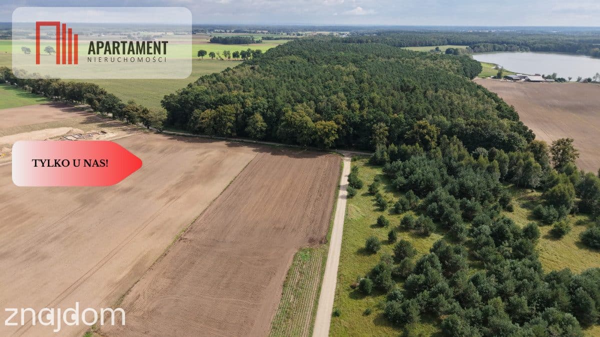 Działki  z WZ – Grabowiec k. Iławy - zdjęcie 5
