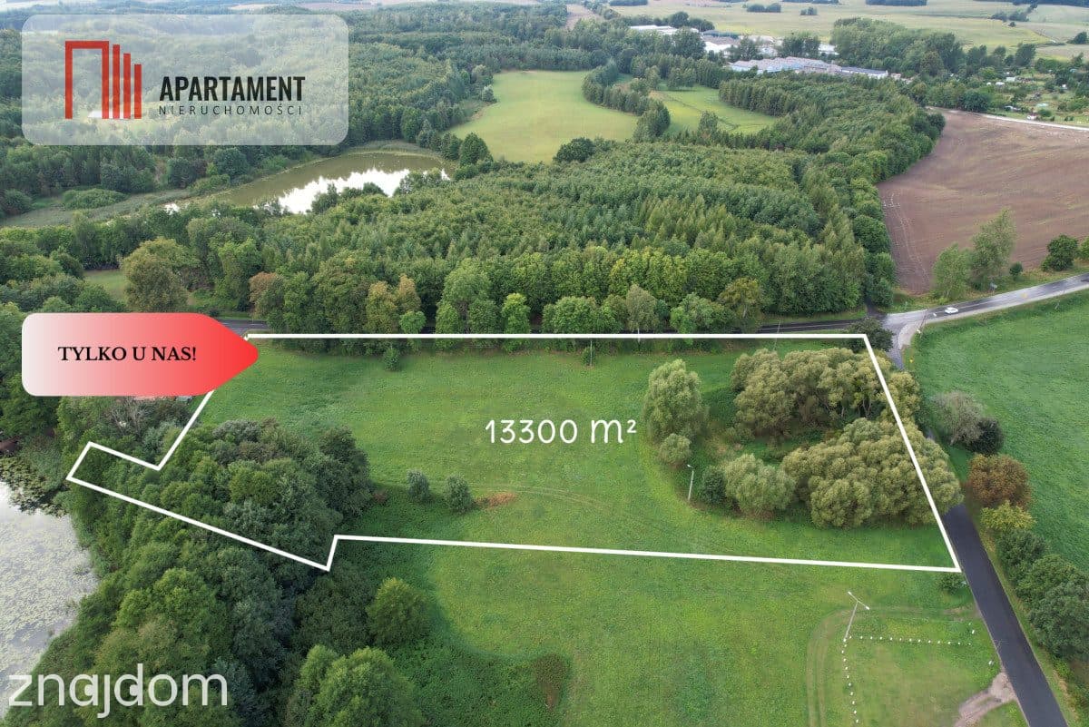 Działka budowlana z linią brzegową jeziora Dużego - zdjęcie 2