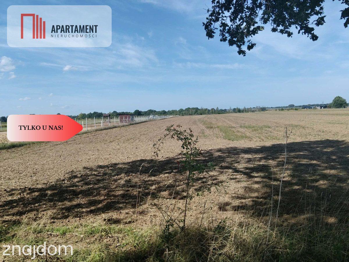 Działka rolna 1,09 ha Głoska gm. Miękinia - zdjęcie 2