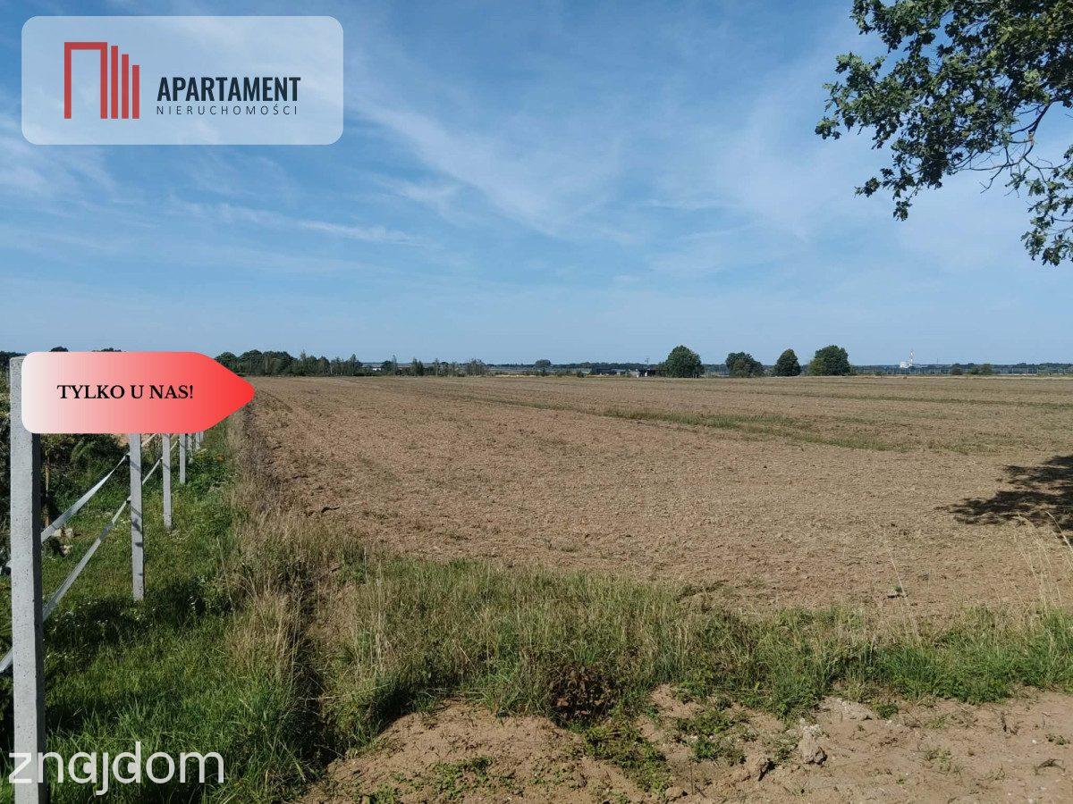 Działka rolna 1,09 ha Głoska gm. Miękinia - zdjęcie 4