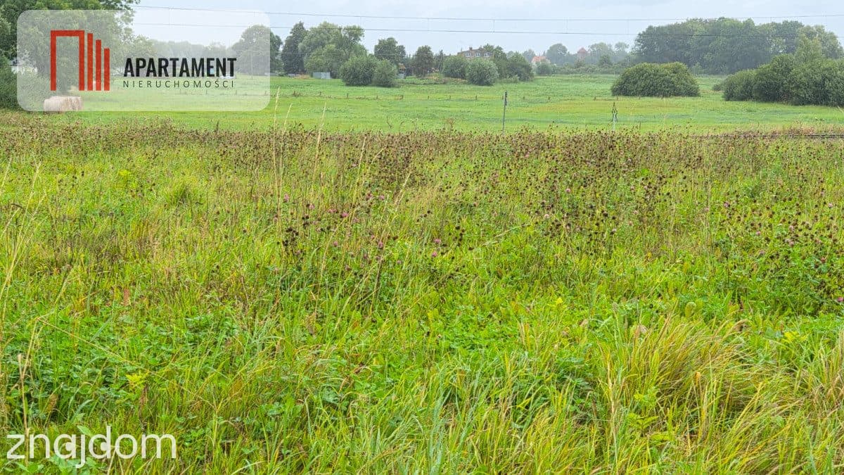 1,7 ha Działka rolna w nadmorskim Tymieniu - zdjęcie 3