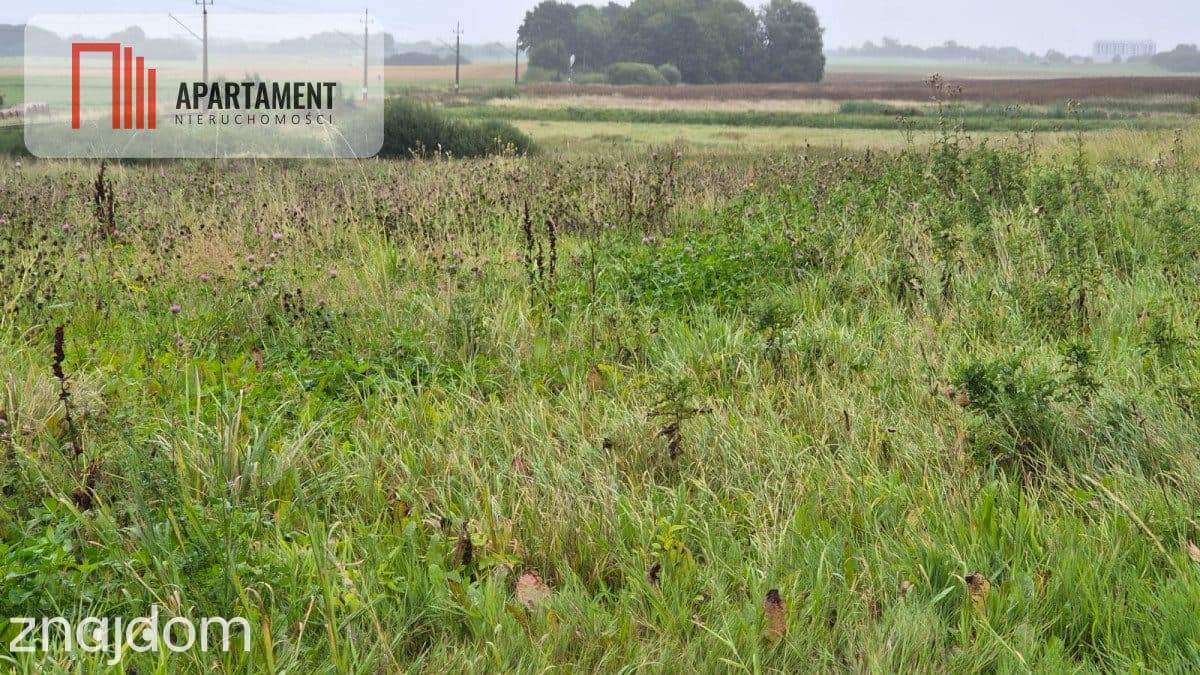 1,7 ha Działka rolna w nadmorskim Tymieniu - zdjęcie 8
