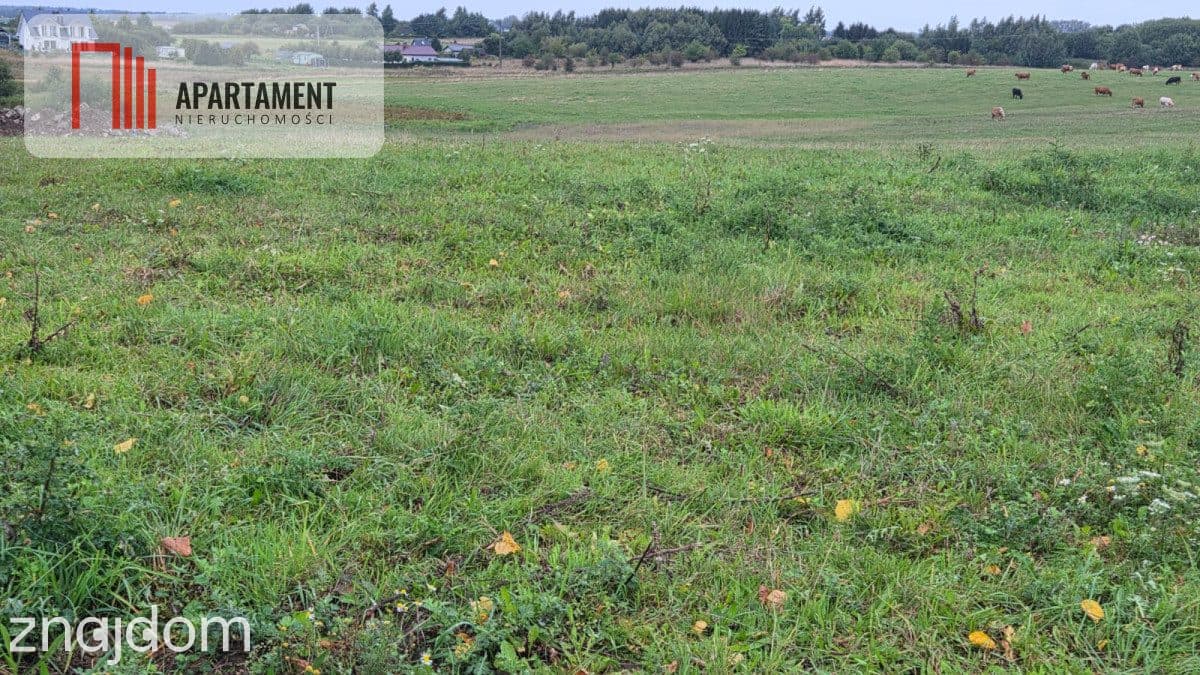 5 Działek z warunkami zabudowy 4 km od morza - zdjęcie 9
